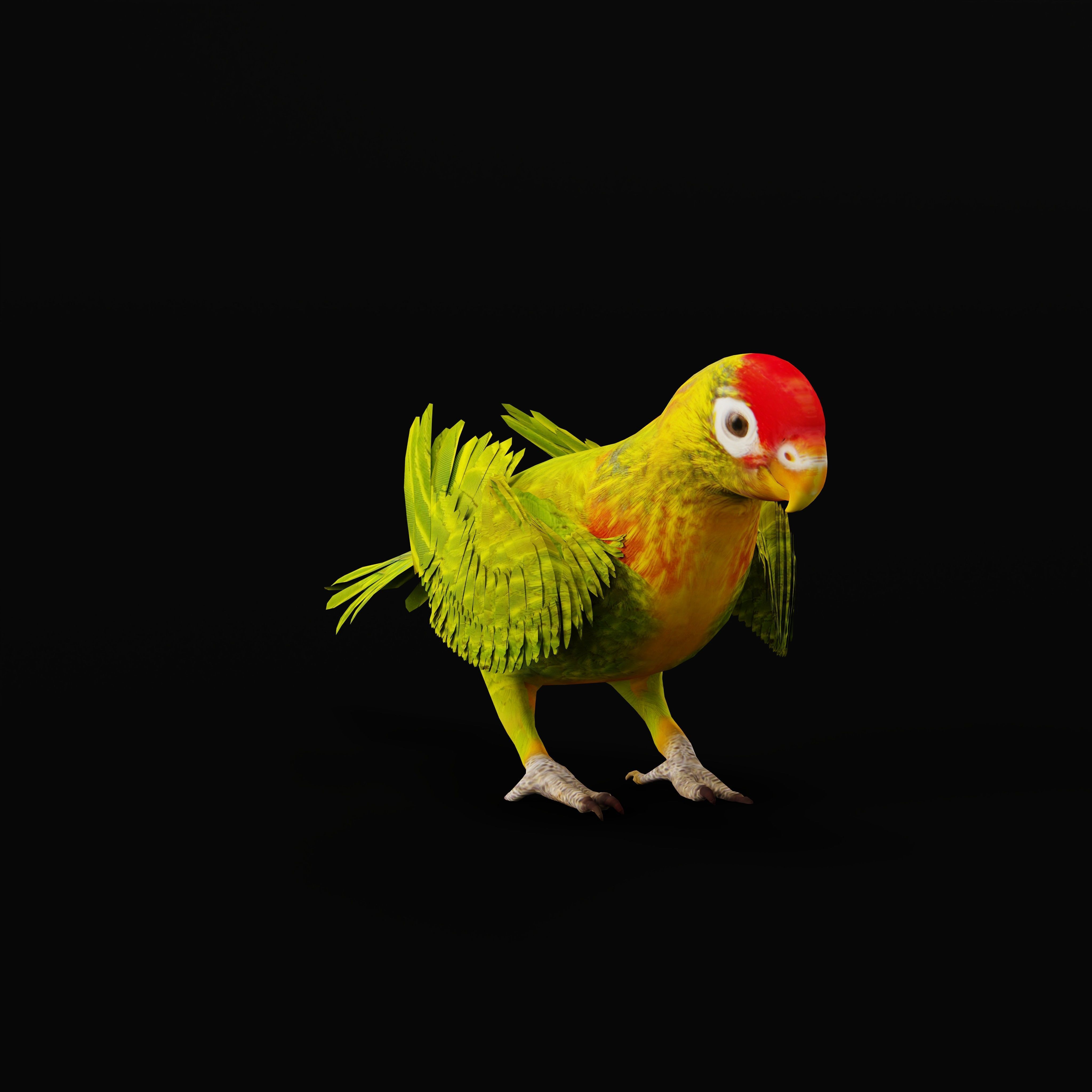 Varied Lorikeet Bird Low-poly 3D model_40