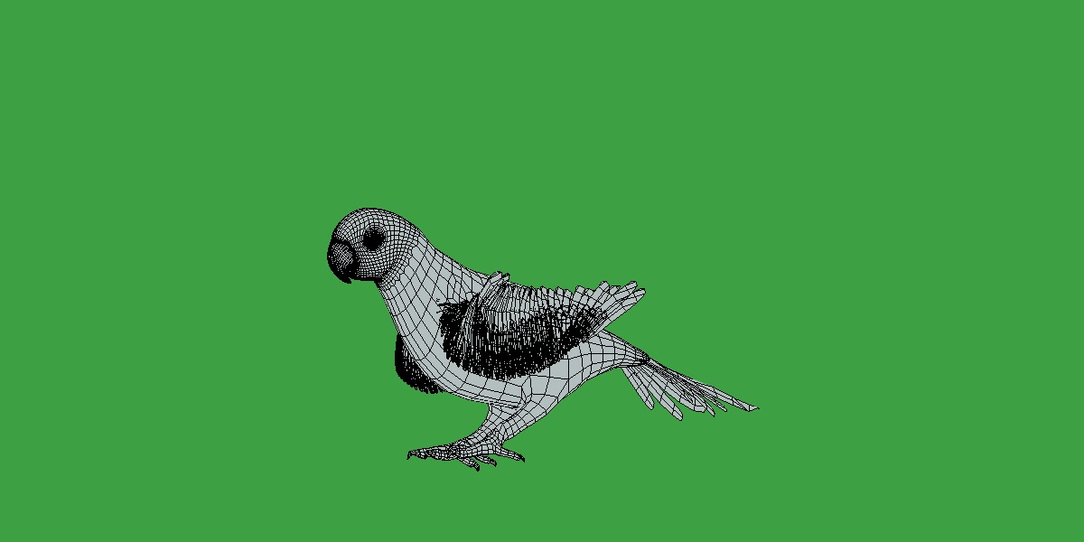 Varied Lorikeet Bird Low-poly 3D model_21