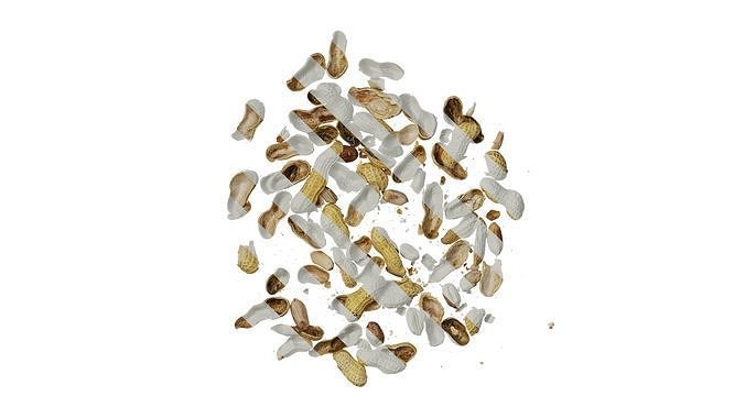 Anydrafts Scattered peanuts and peanut shells 01 Texture