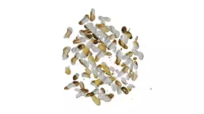 Anydrafts Scattered peanuts and peanut shells 01