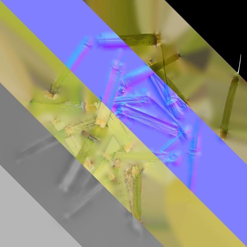 Anydrafts Sugarcane peel 03 Texture_8