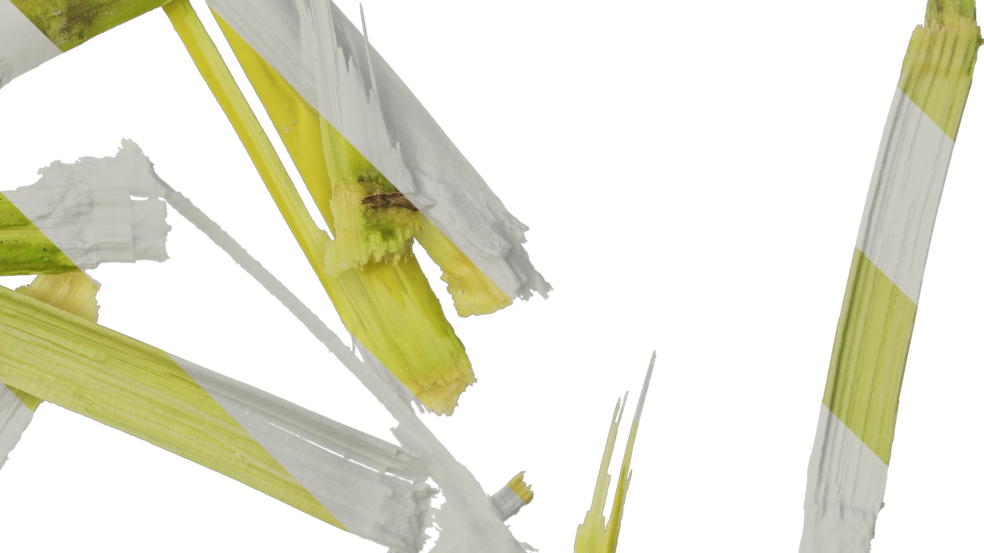 Anydrafts Sugarcane peel 03 Texture_4