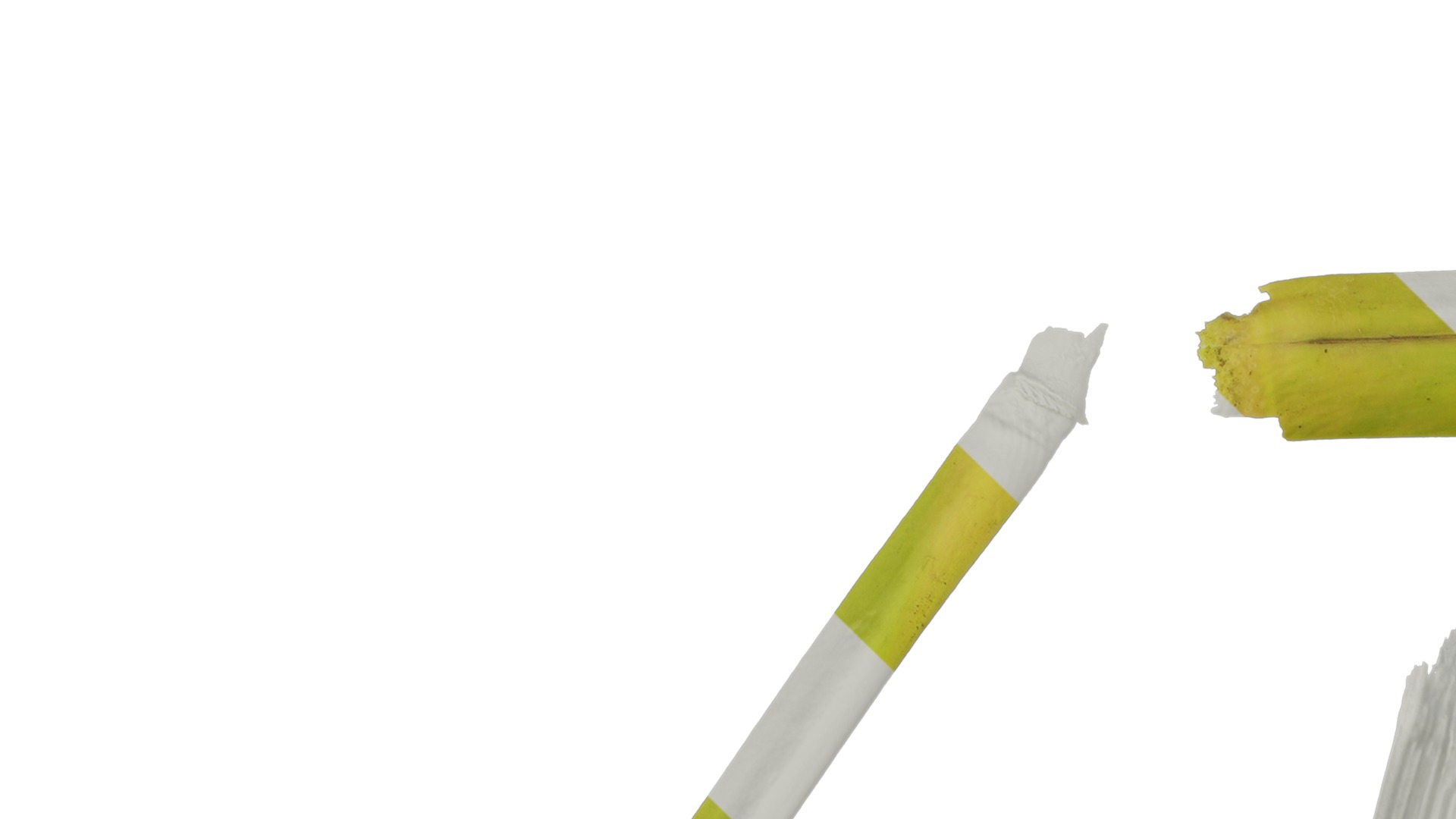 Anydrafts Sugarcane peel 03 Texture_1