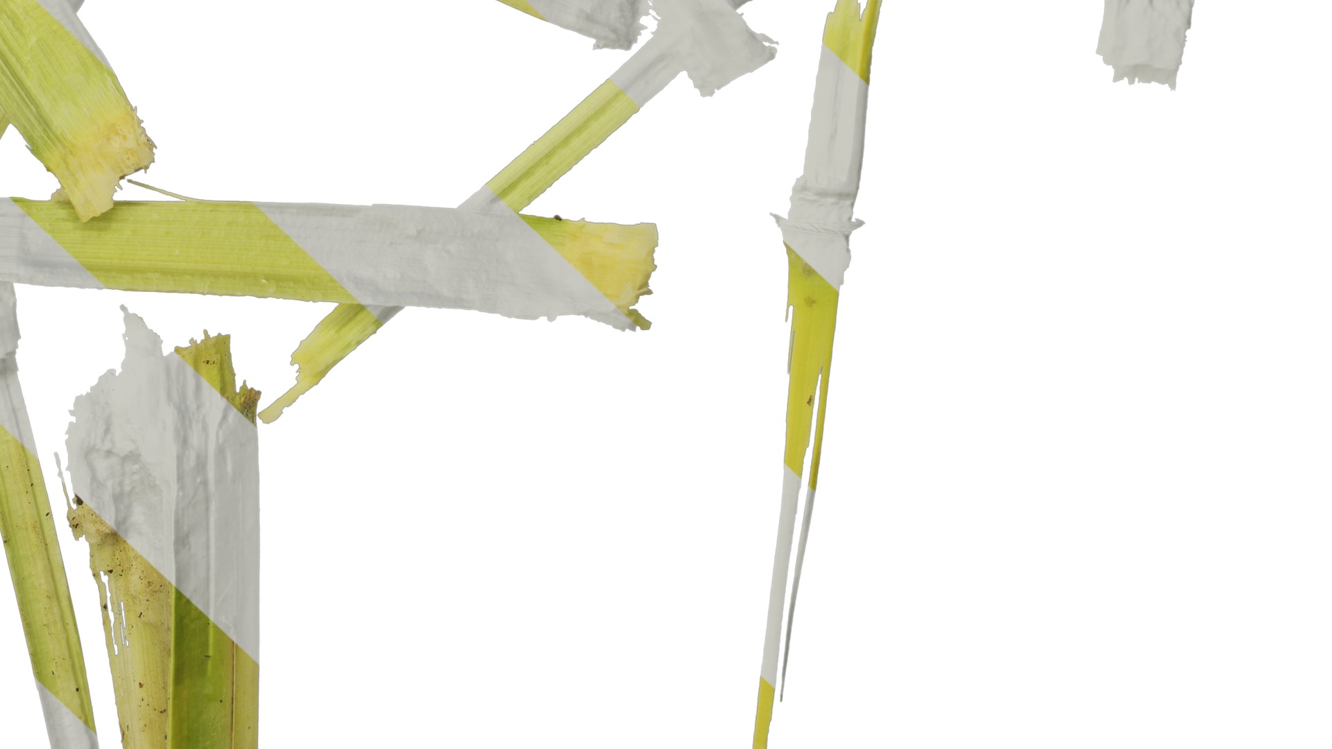 Anydrafts Sugarcane peel 03 Texture_6