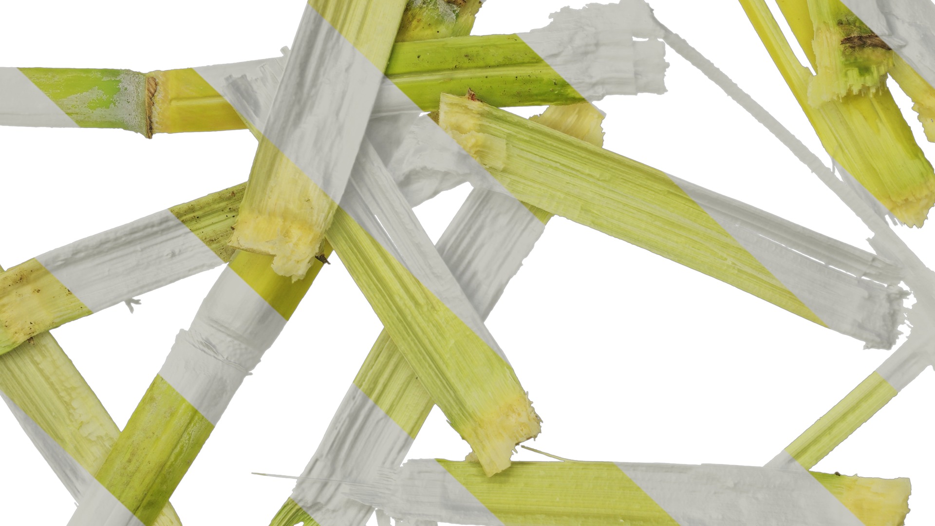 Anydrafts Sugarcane peel 03 Texture_7