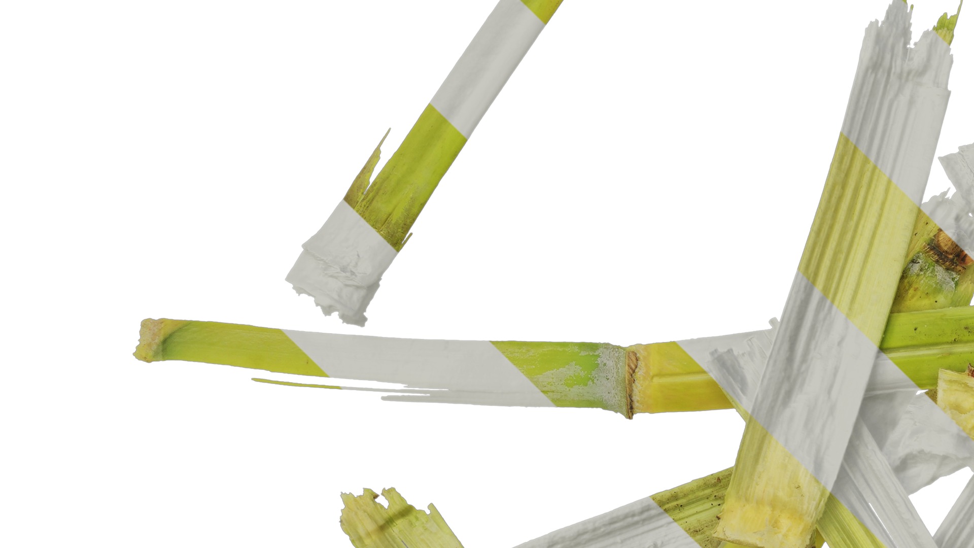 Anydrafts Sugarcane peel 03 Texture_3