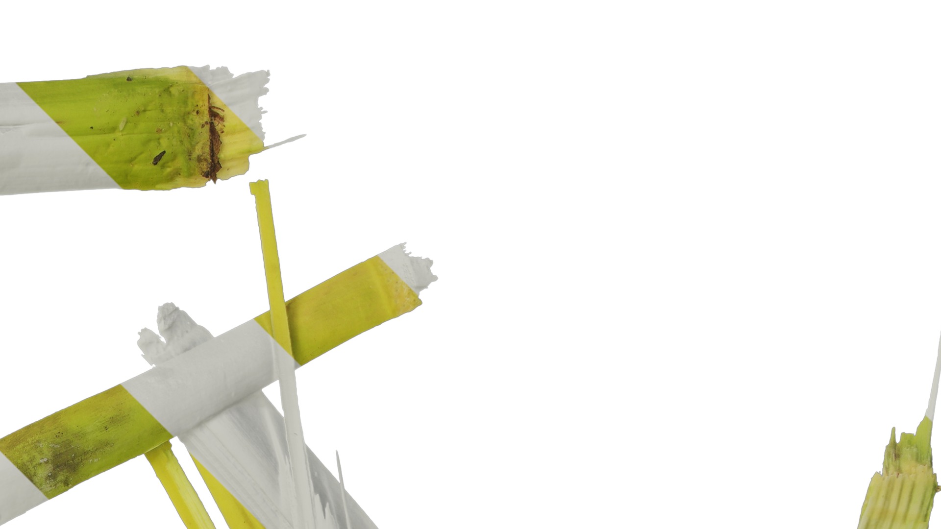 Anydrafts Sugarcane peel 03 Texture_2