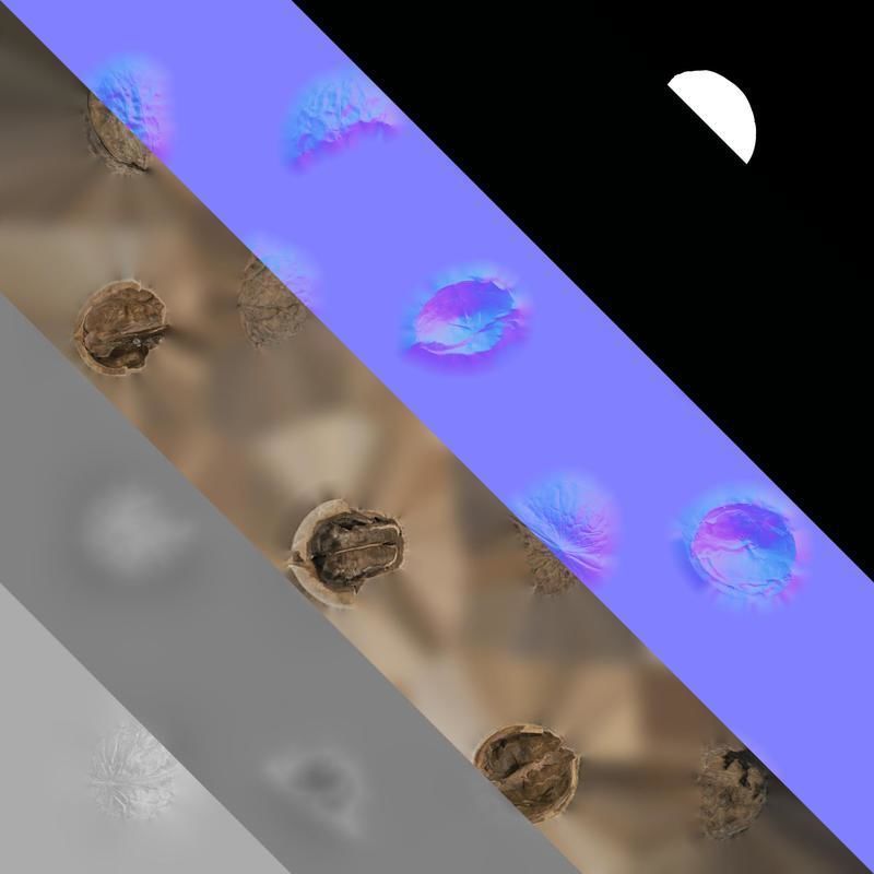 Anydrafts Walnut shells 01 Texture_8