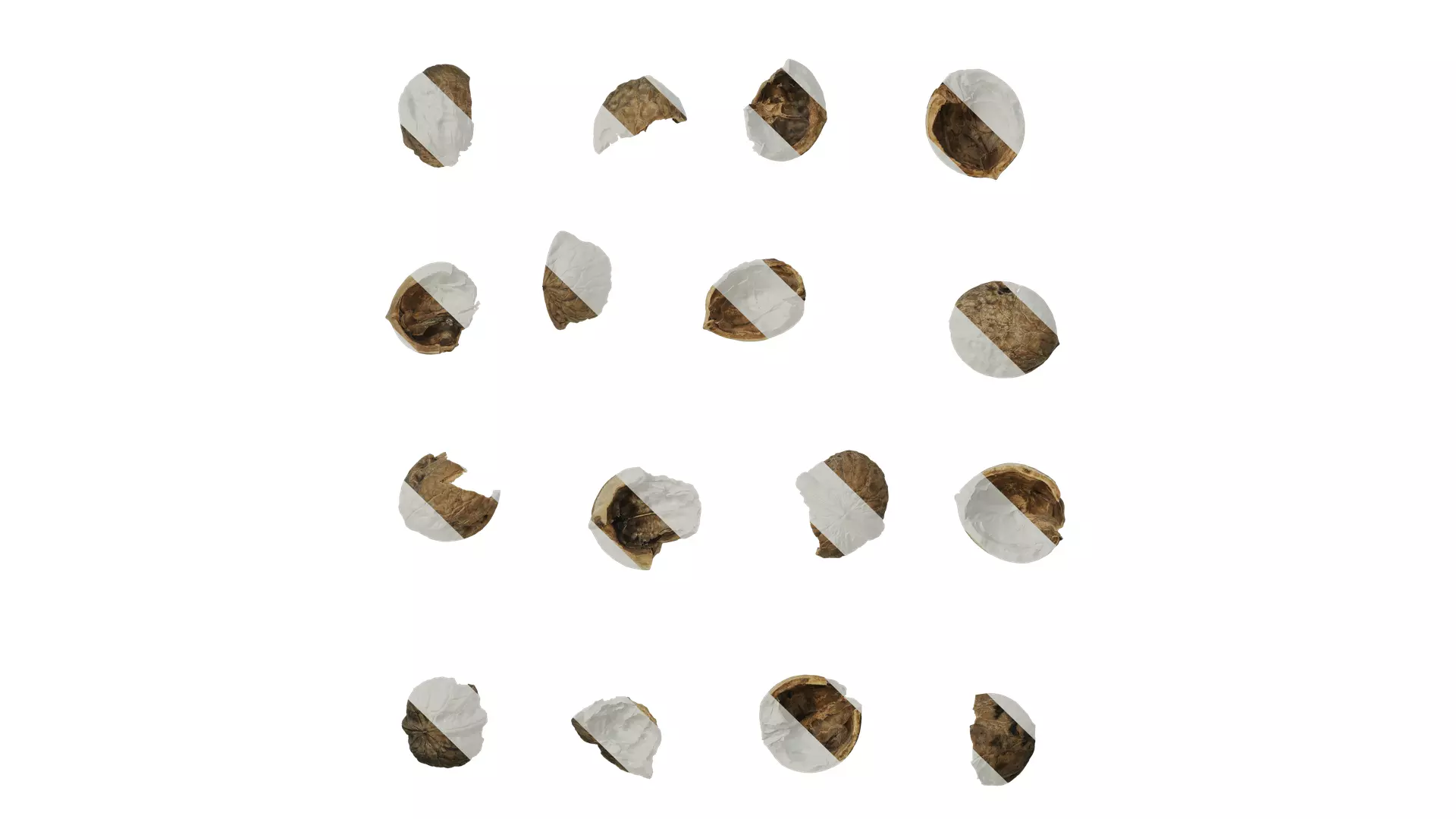 Anydrafts Walnut shells 01 Texture_0