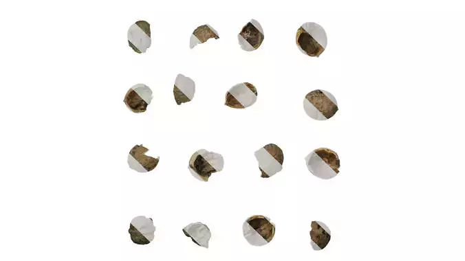 Anydrafts Walnut shells 01