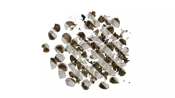 Anydrafts Walnut shells 02