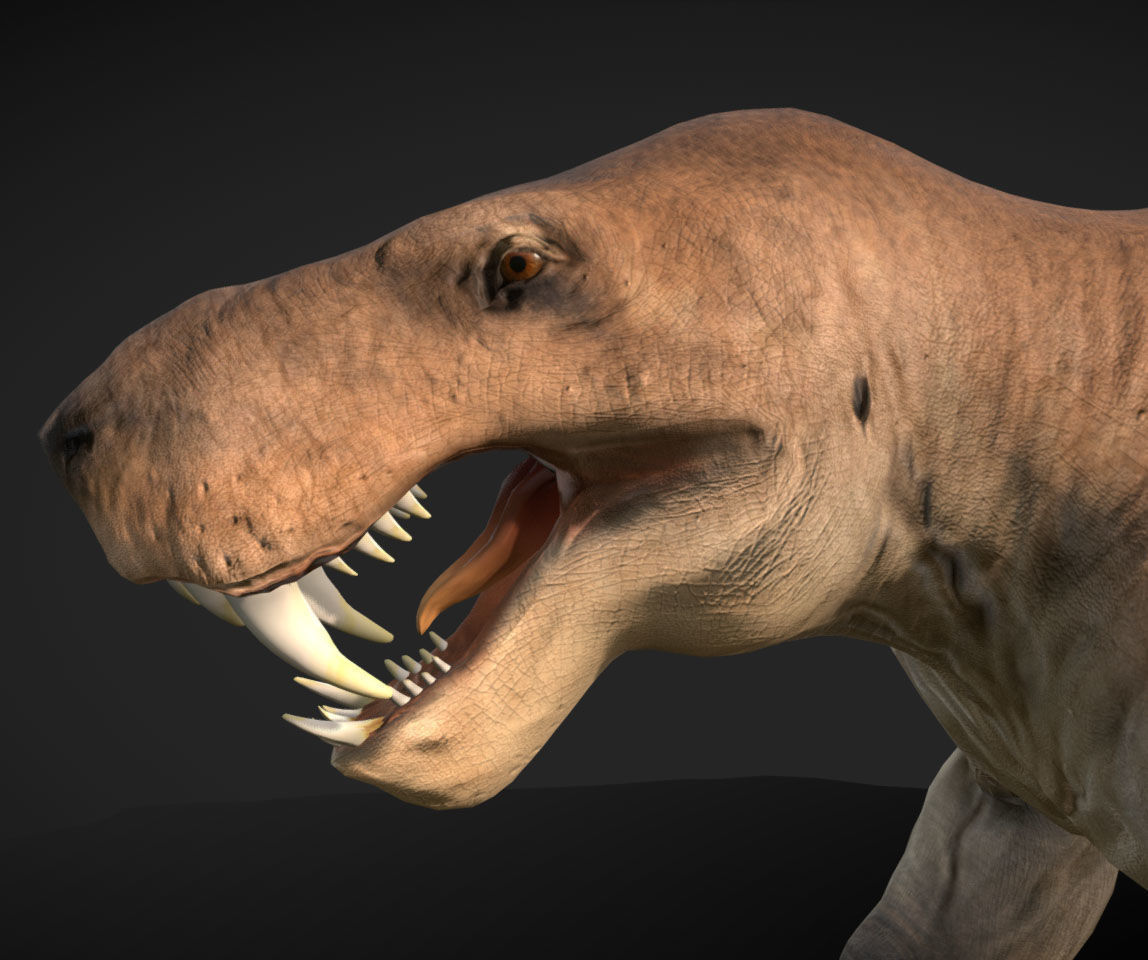 Inostrancevia Low-poly 3D model_7