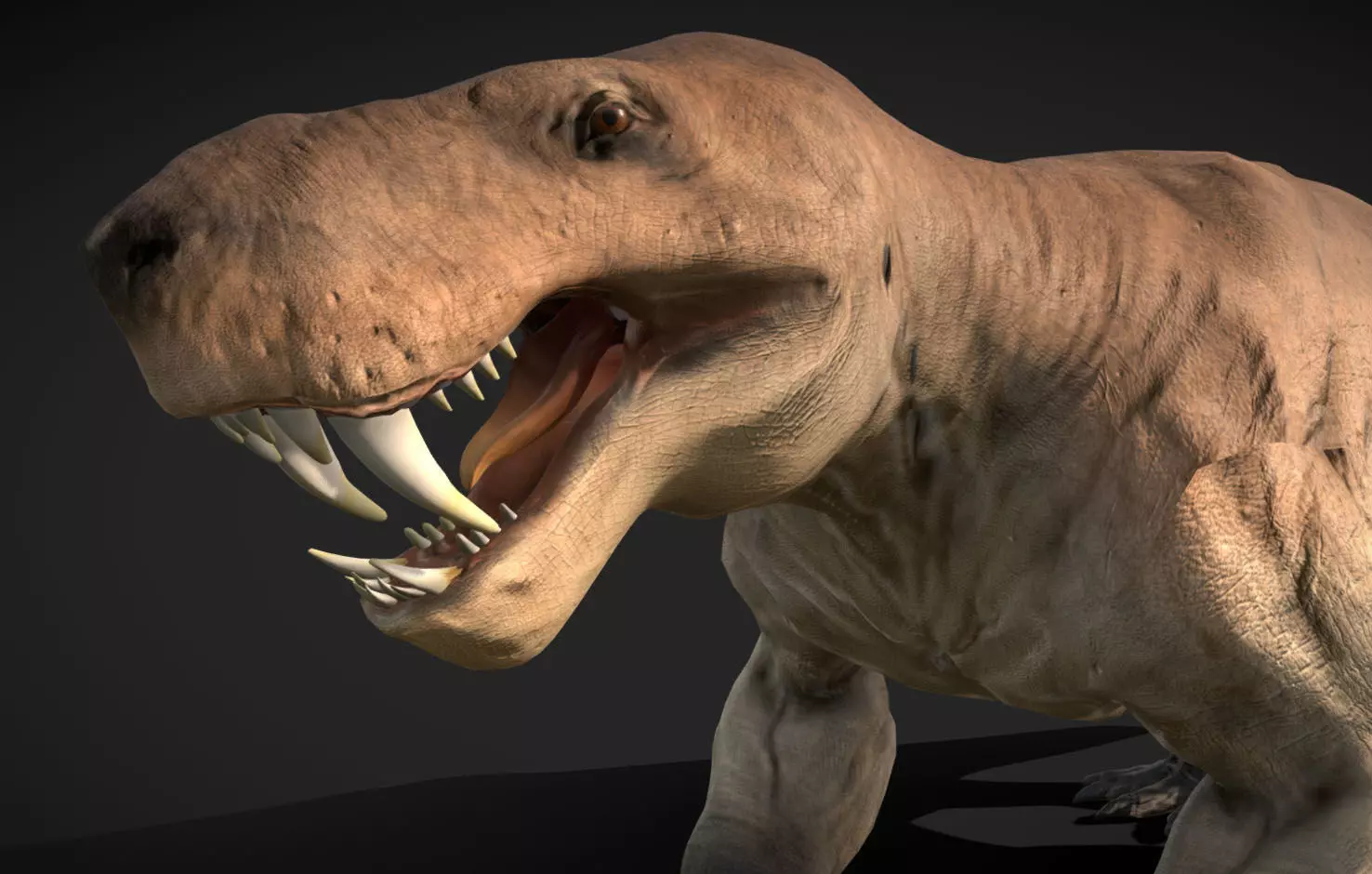 Inostrancevia Low-poly 3D model_0