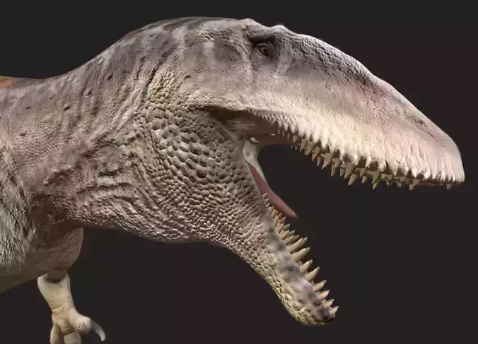 Carcharodontosaurus