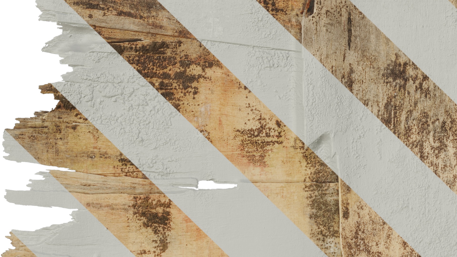 Anydrafts Broken board pieces 10 Texture_1