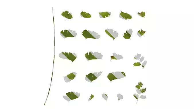 Anydrafts Adiantum capillus veneris Leaf 01