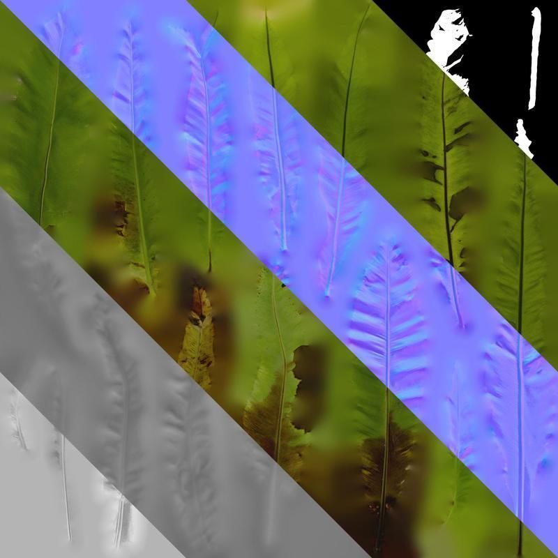 Anydrafts Asplenium nidus Leaf 02 Texture_8