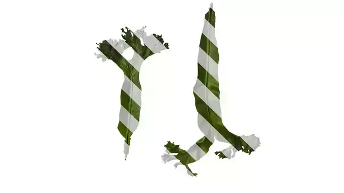 Anydrafts Asplenium nidus crissie Leaf 03 Texture