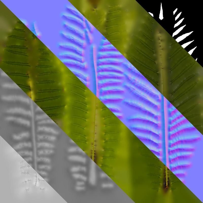 Anydrafts Blechnum orientale Leaf 01 Texture_8