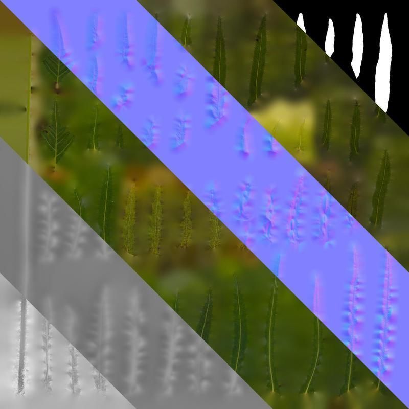 Anydrafts Blechnum orientale Leaf 03 Texture_8