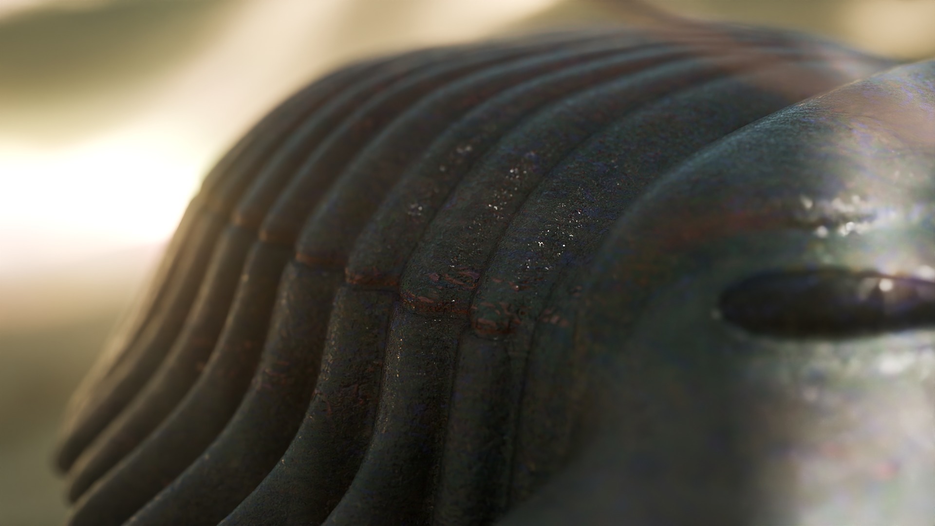 Trilobite Low-poly 3D model_10