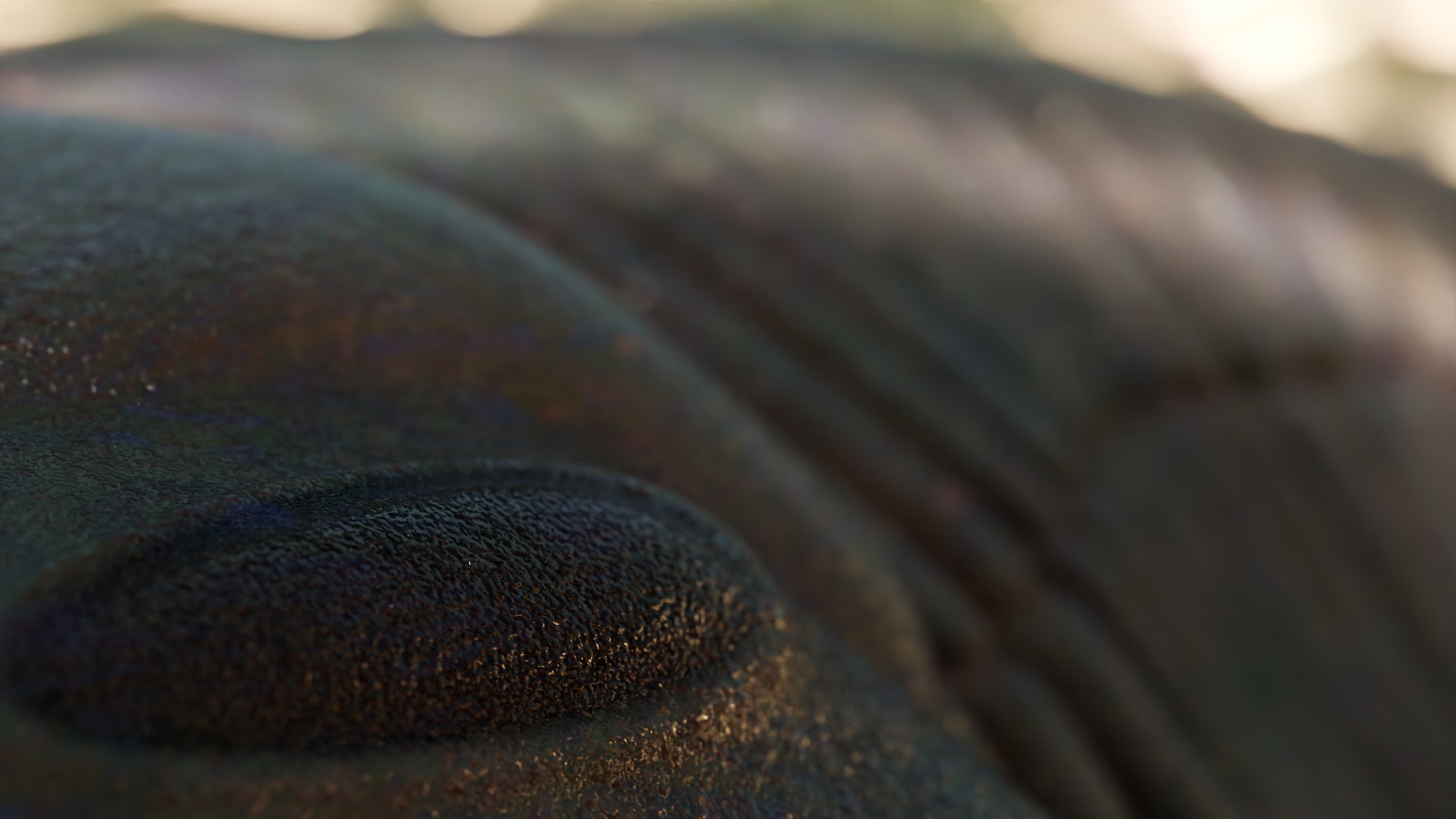 Trilobite Low-poly 3D model_5