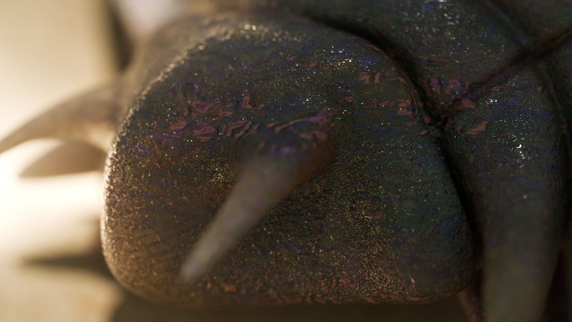 Trilobite Low-poly 3D model_7