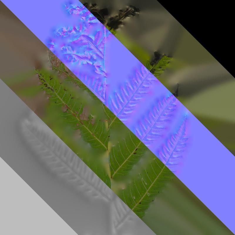 Anydrafts Cibotium barometz Leaf 01 Texture_8