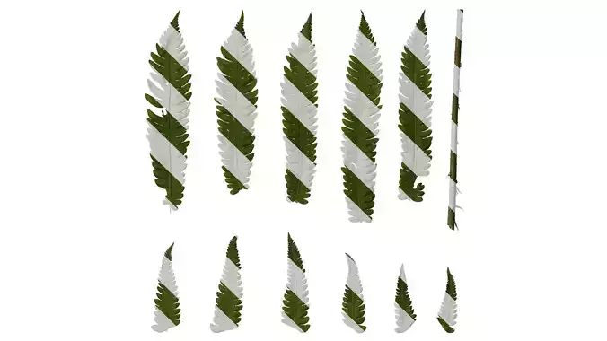 Anydrafts Cyclosorus dentatus Leaf 01