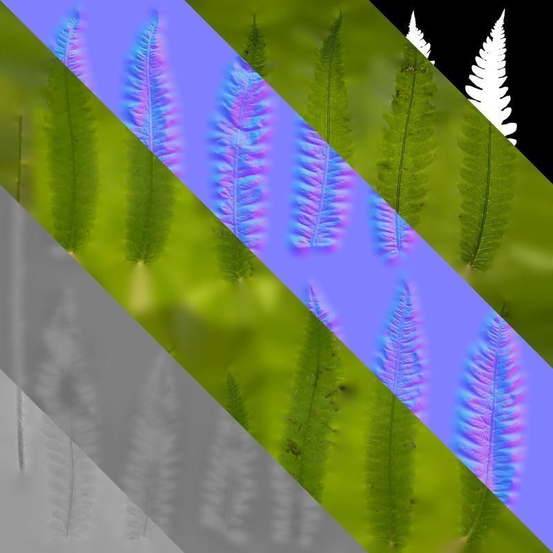 Anydrafts Cyclosorus dentatus Leaf 02 Texture_8