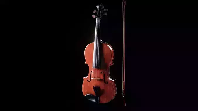 Violin