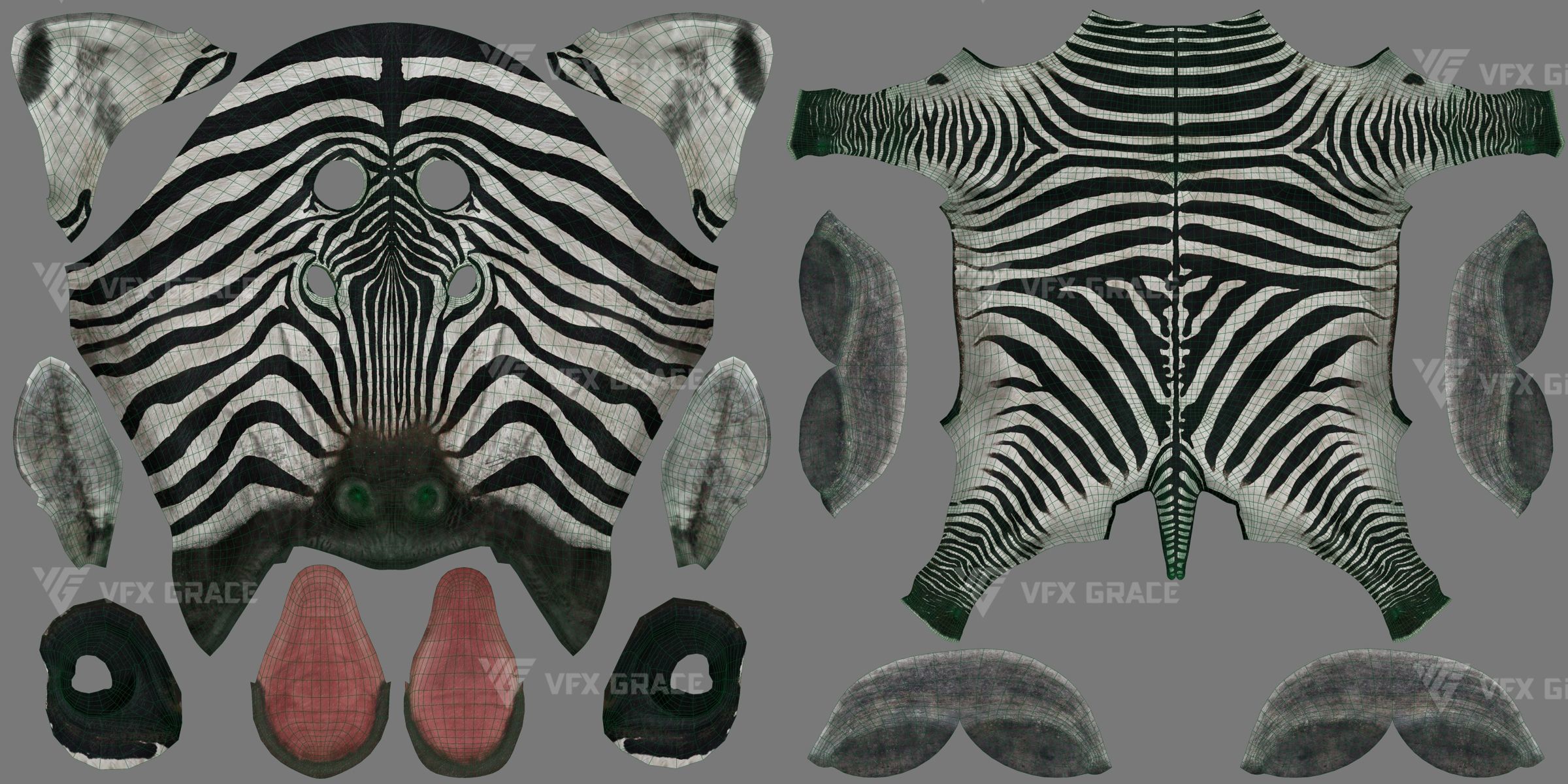 Zebra Animation - VFX Grace 3D model_30