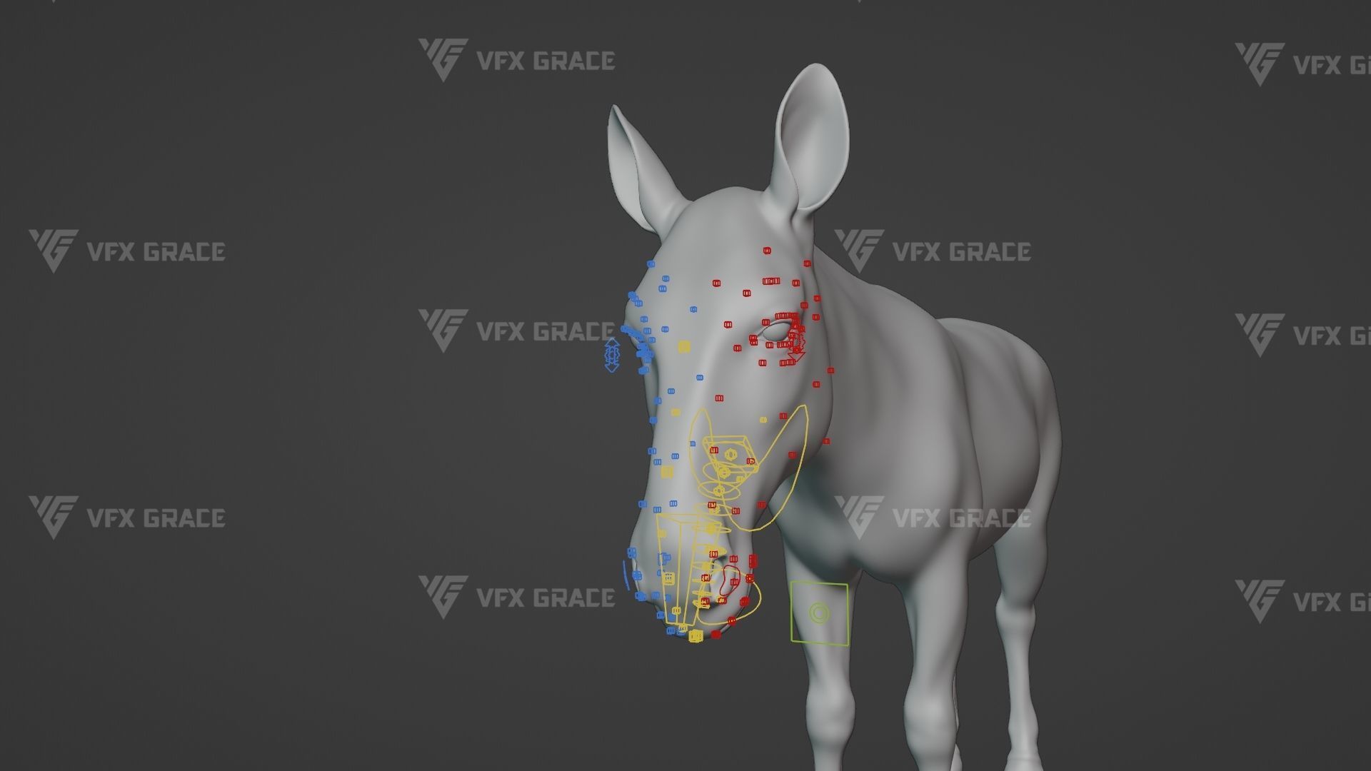 Zebra Animation - VFX Grace 3D model_28
