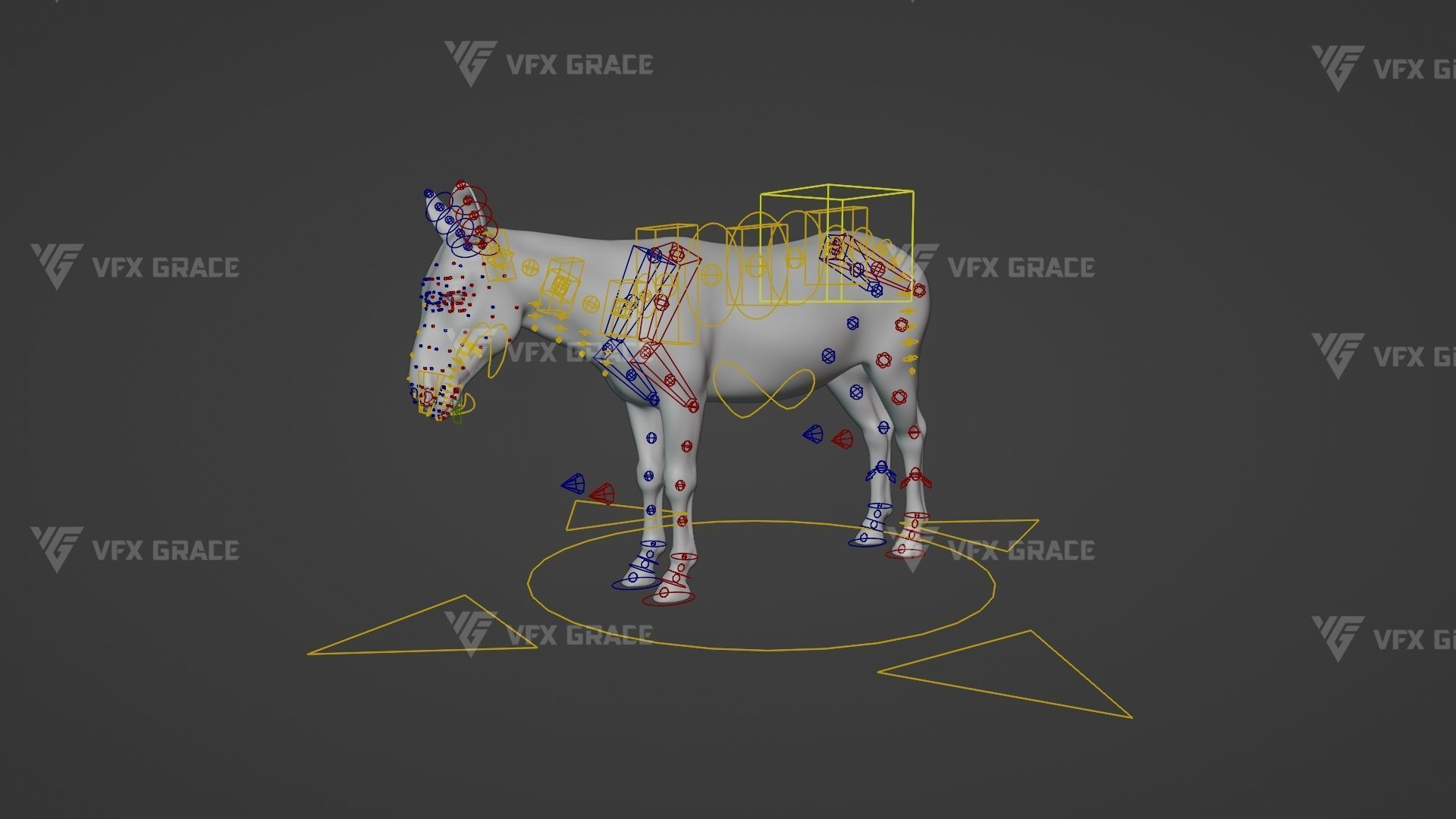 Zebra Animation - VFX Grace 3D model_26