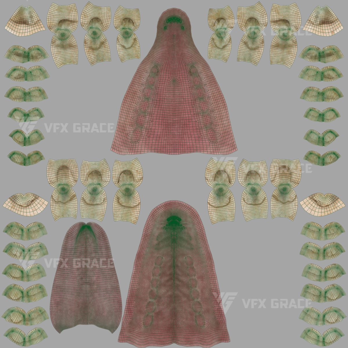 Zebra Animation - VFX Grace 3D model_33