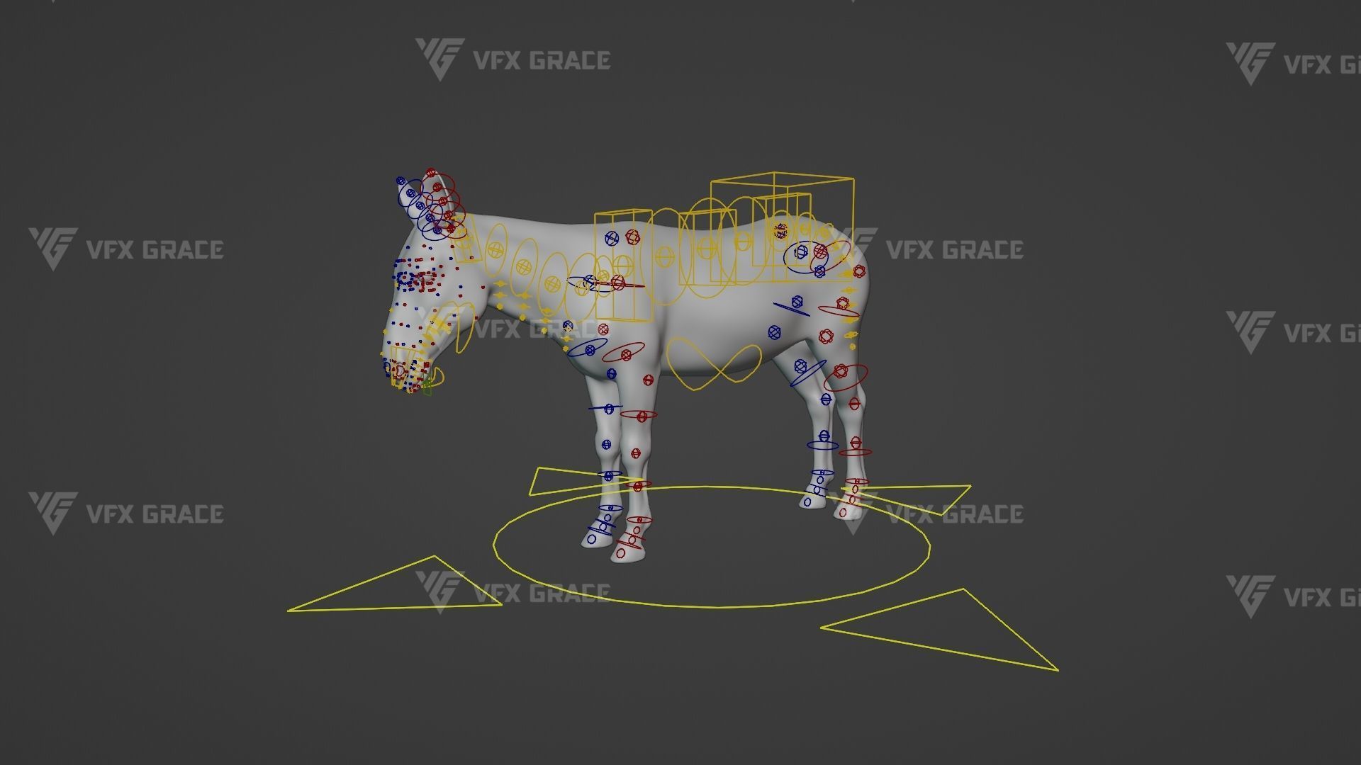 Zebra Animation - VFX Grace 3D model_27