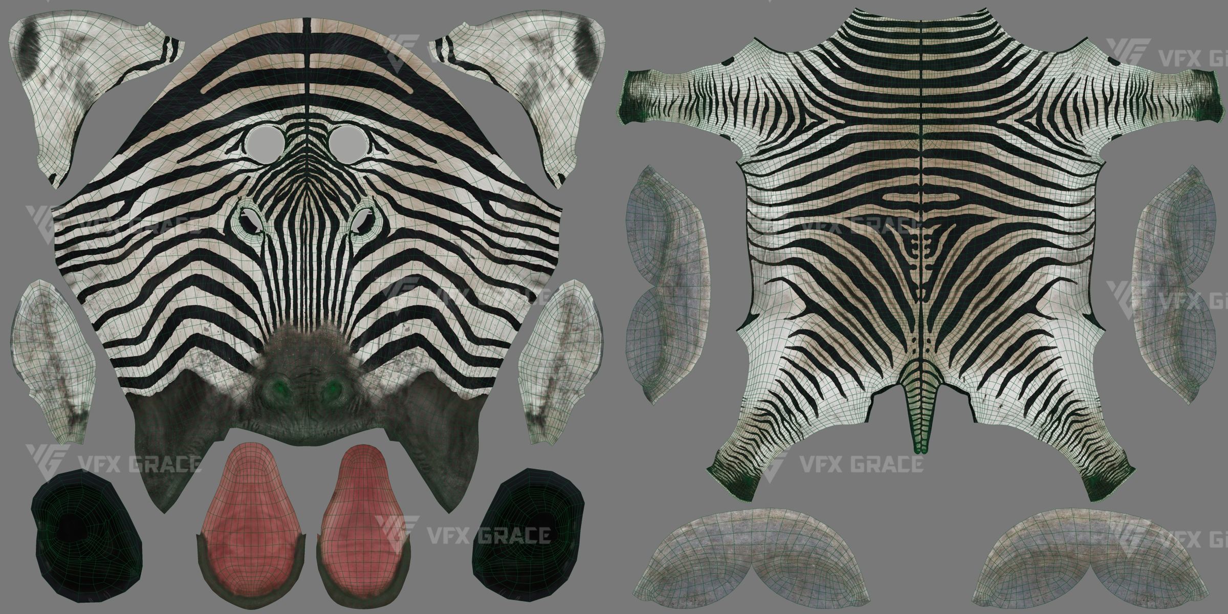 Zebra Animation - VFX Grace 3D model_32
