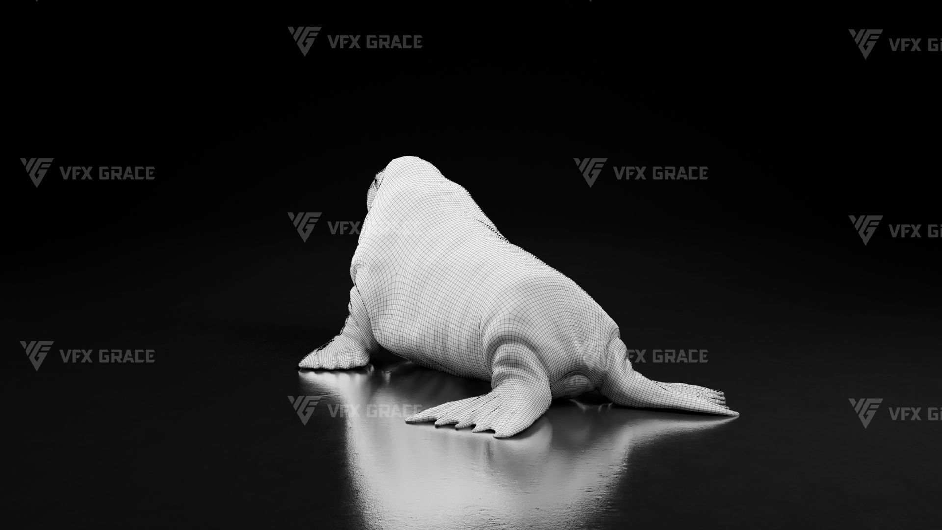 Walrus Animation - Blender 3D model_18