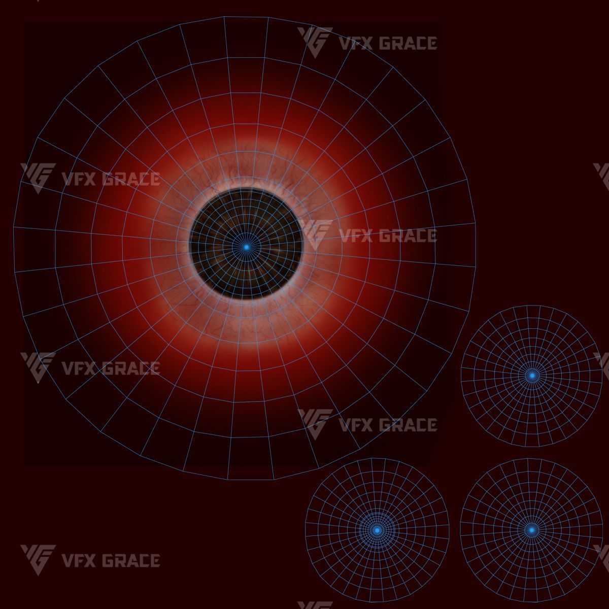 Walrus Animation - Blender 3D model_21