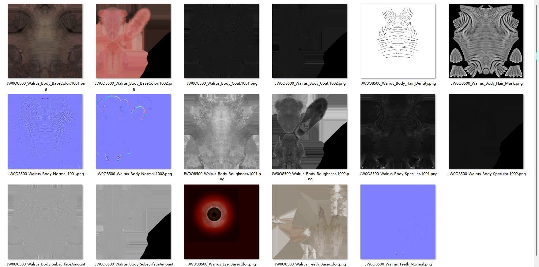 Walrus Animation - Blender 3D model_22