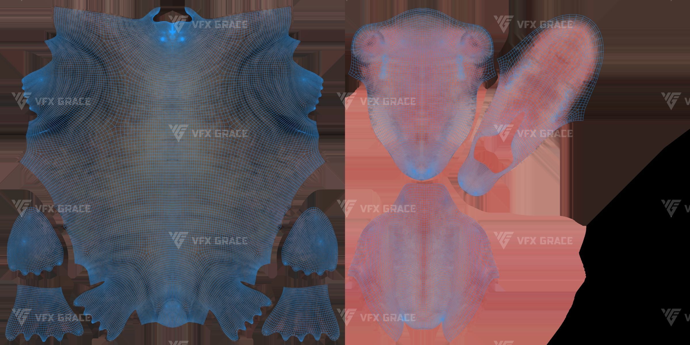 Walrus Animation - Blender 3D model_19