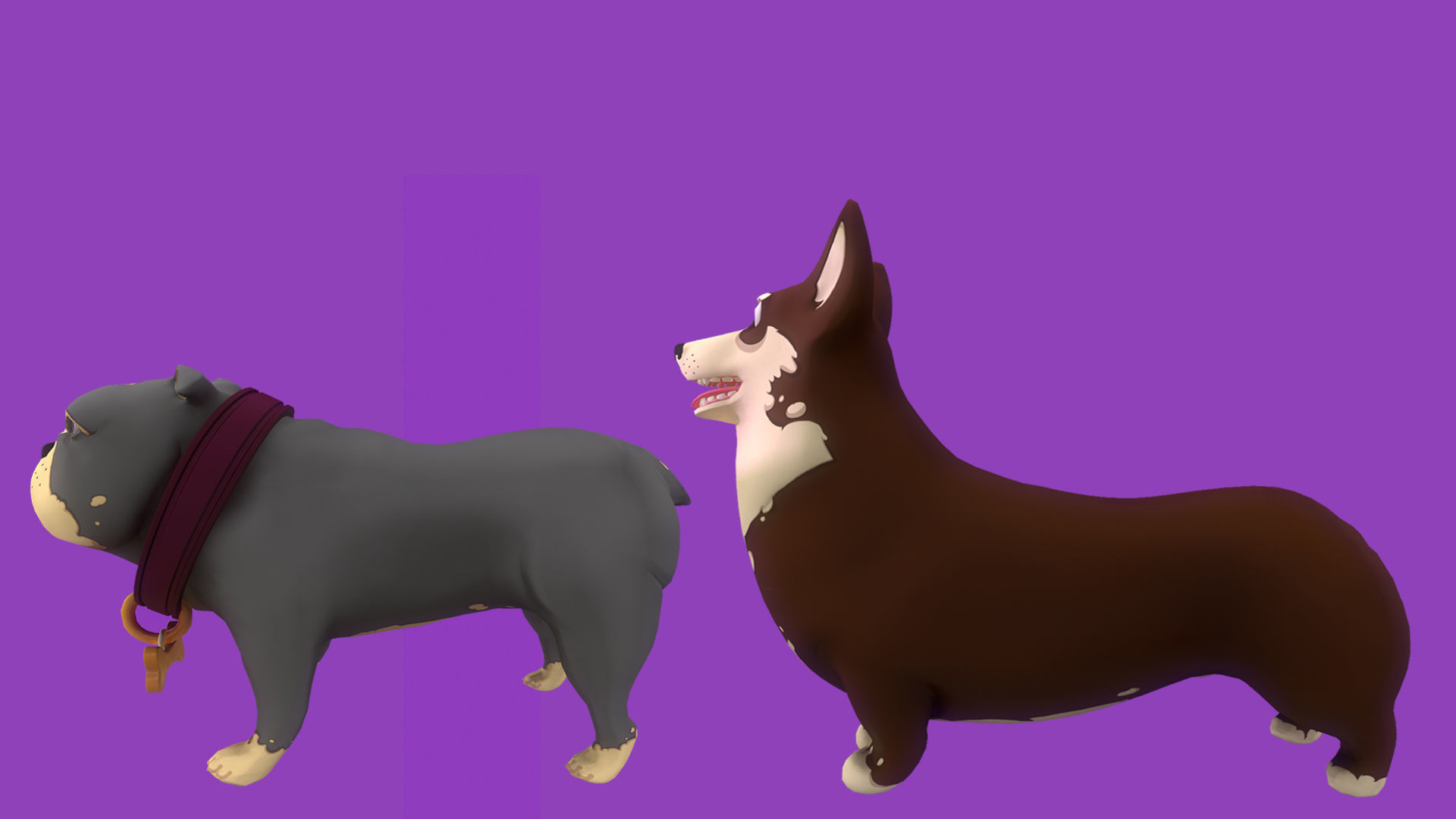 Brown Corgy and Grey Bulldog  3D Model Collection_6