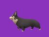 Grey Corgy and Black Bulldog 3D Model Collection_2