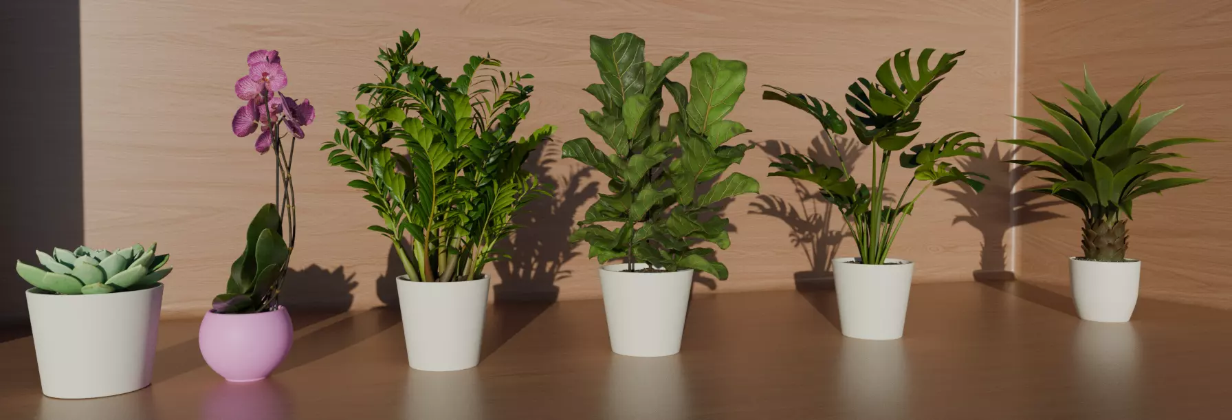 4K High Polly Pot Plants Pack 3D model