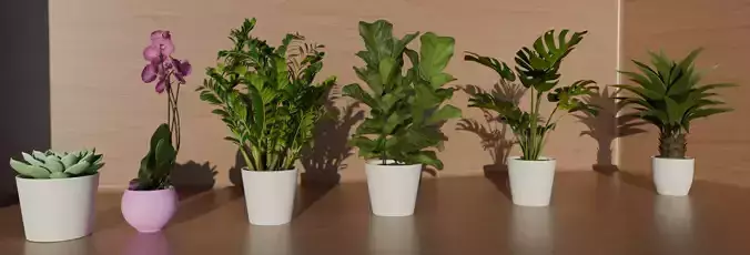 4K High Polly Pot Plants Pack