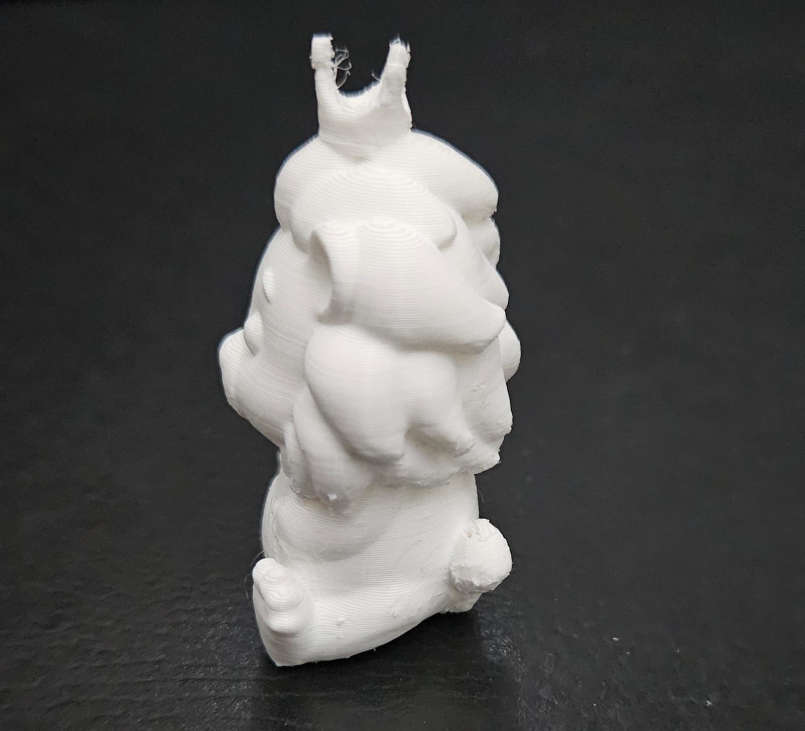 Lion Crown 3D print model_10
