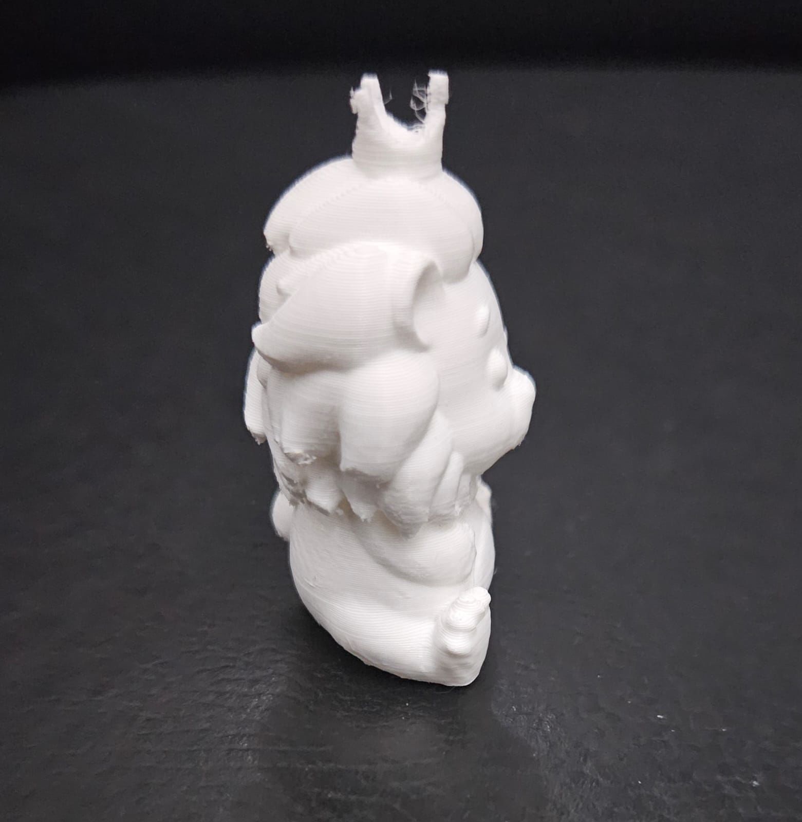 Lion Crown 3D print model_7