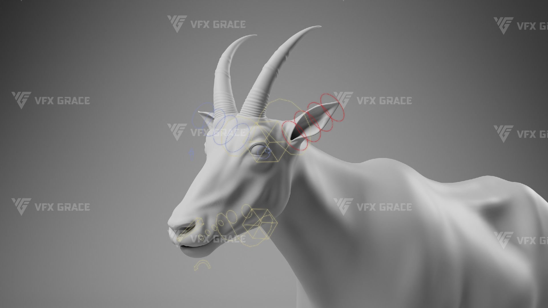 Mountain Goat Animation - Blender 3D model_16