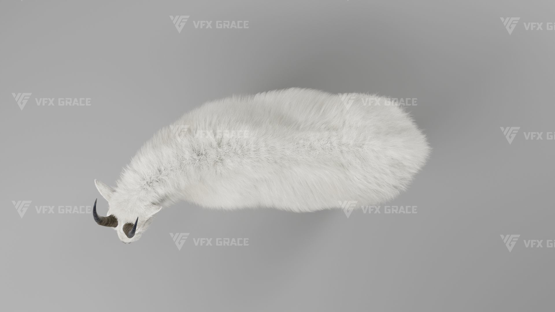 Mountain Goat Animation - Blender 3D model_11