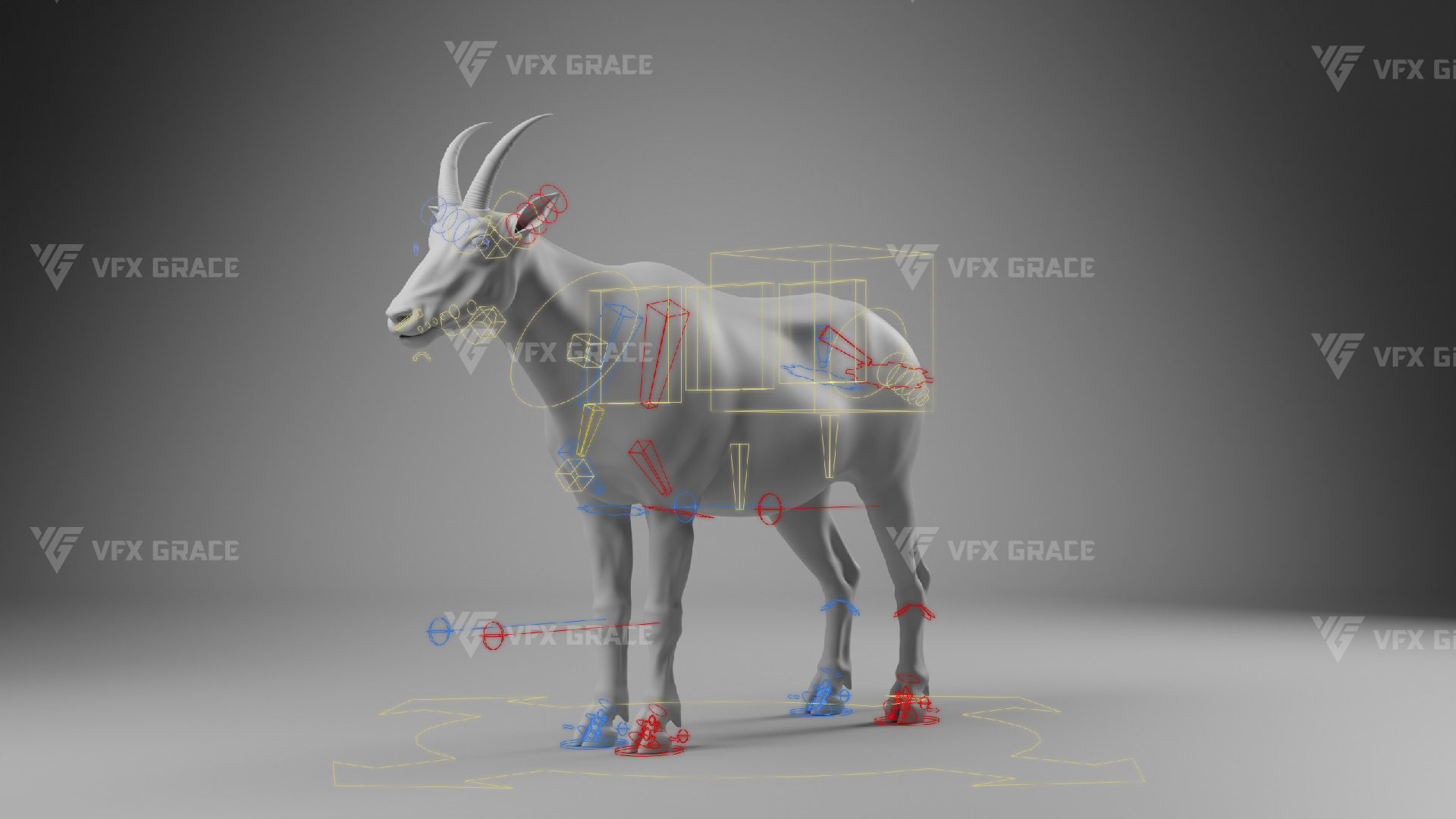 Mountain Goat Animation - Blender 3D model_13